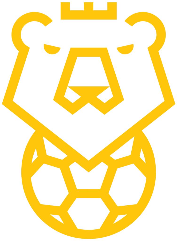 fotbal
